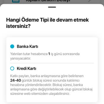 Türkiye Hayat Emeklilik Ara Ödeme Yapamıyorum