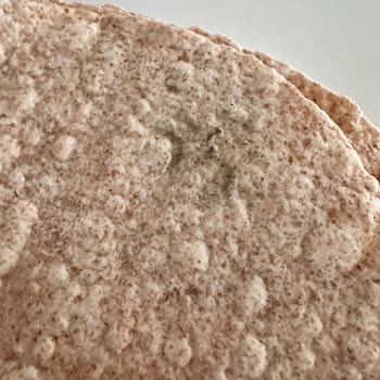 UNO Marka Lavaş Küflü Çıktı