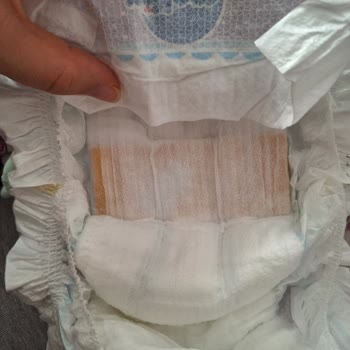 Molfix Bebek Bezi İçinde Çıkan Karton Parçası