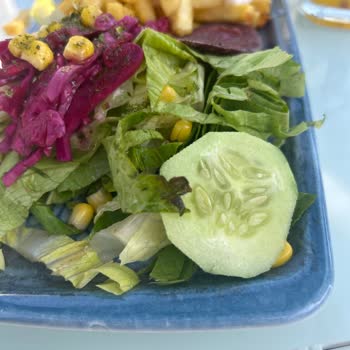 Afacan Park (Konya) Kahvaltı Deneyiminde Hijyen Ve Hizmet Sorunları