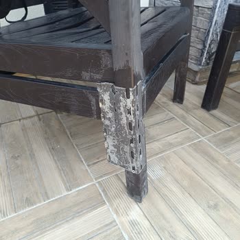 Sapanca CBC Plus Sapanca Cbc Bungalov Evlerinde Bir Daha Gelmem