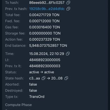 Ton Ağı Üzerinden Gönderdiğim USDT Bitci Borsa Hesabıma Geçmedi!