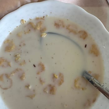 A101 Burch Müsli Böcekli Yulafı