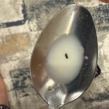 A101 Burch Müsli Böcekli Yulafı