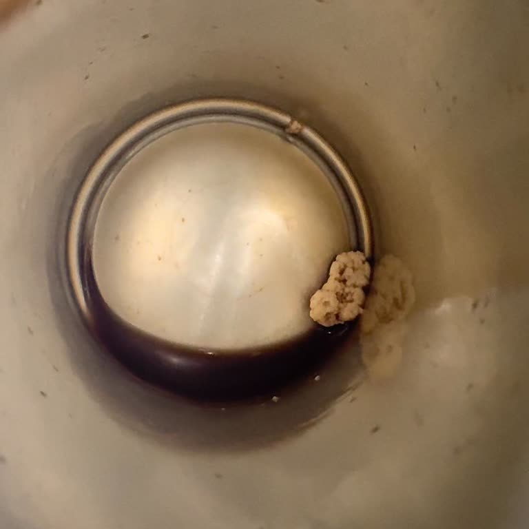 Obsesso Kahvenin İçinden Cisim Çıktı!