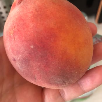 Şok Marketler Şubede Teslim Edilmeyen Kargo