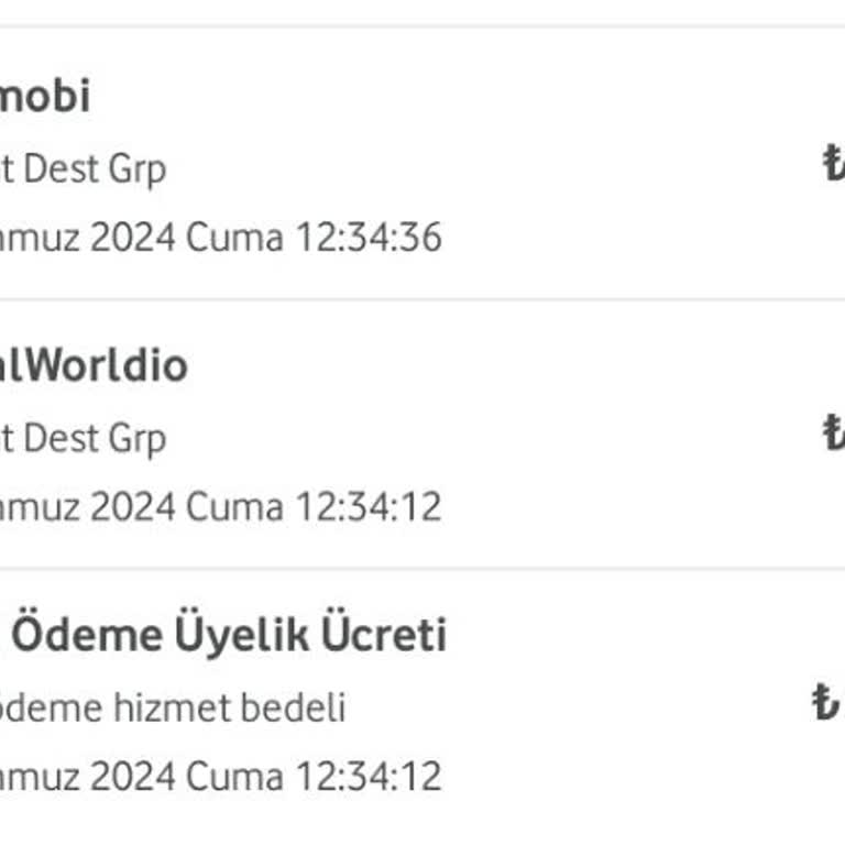 Vizyon Elektronik Para Vizyon Pay Paramı Aldı