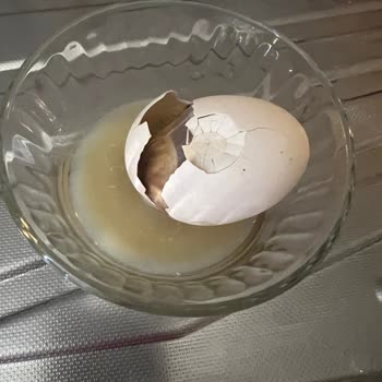 Getir Hastalık Saçan Ürünü İçin Dönüş Yapmadı Bile!