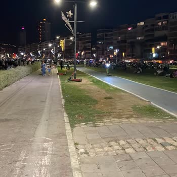 Martı GPS Sapması Sonucu Ceza İşlem