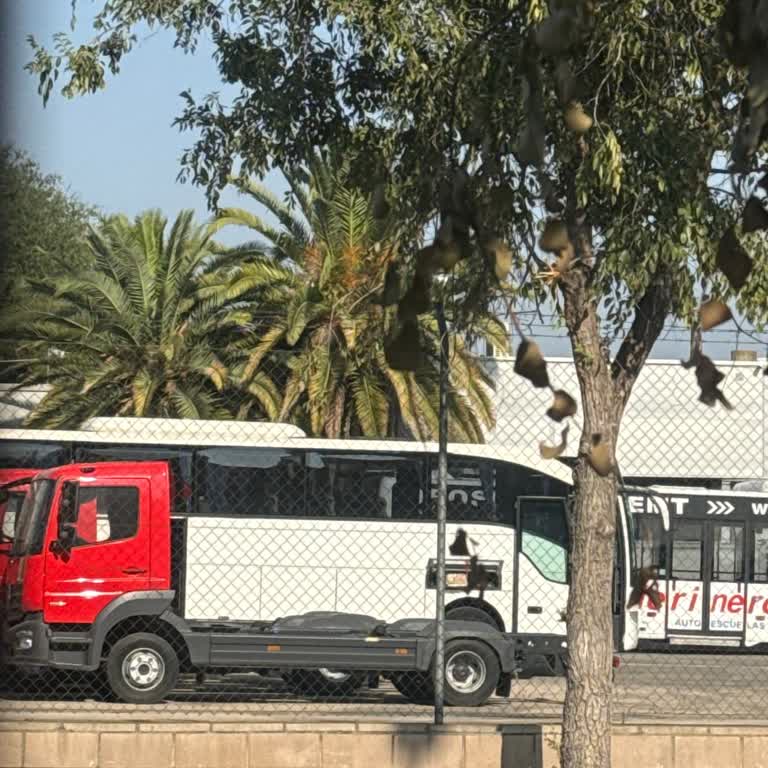 Kappatur İspanya Turunda Araç Sorunu Ve Mağduriyet!