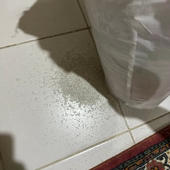 Bonybon Pet Sipariş Sonrası Yaşanan Paketleme Sorunları