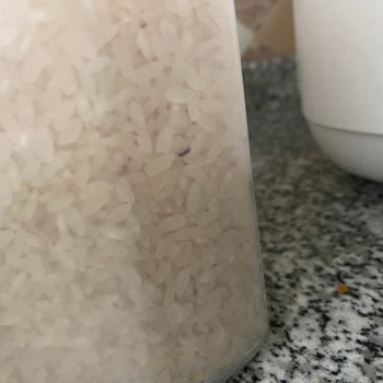 Migros 2 Kez Farklı Marka Pirinçlerden Böcek Çıktı