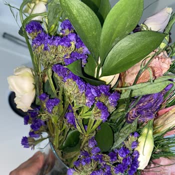 Taze Çiçek Çiçekleri Taze Değil