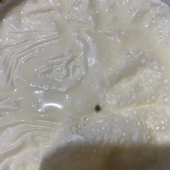 Sütaş Küflü Kaymaklı Yoğurt