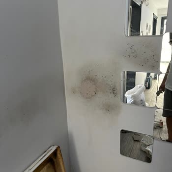 RE/MAX Emlak Danışmanlığındaki Sorunlar