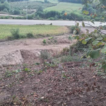 Tarım ve Orman Bakanlığı Sebepsiz Kazım Yapılmış Yetkili Yetkisiz Belli Değil