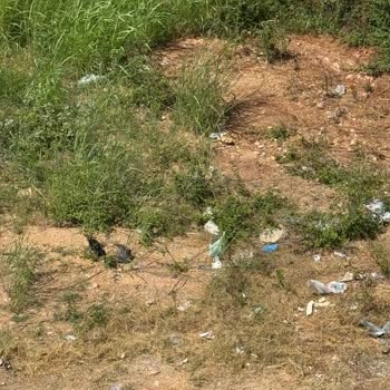 Mezitli Belediyesi Mezitli Akdeniz Mahallesi'nde Temizlik Sorunu