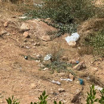 Mezitli Belediyesi Mezitli Akdeniz Mahallesi'nde Temizlik Sorunu