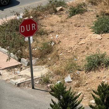 Mezitli Belediyesi Mezitli Akdeniz Mahallesi'nde Temizlik Sorunu