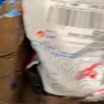 Amazon Clear Zararlı Kargo Paketi!