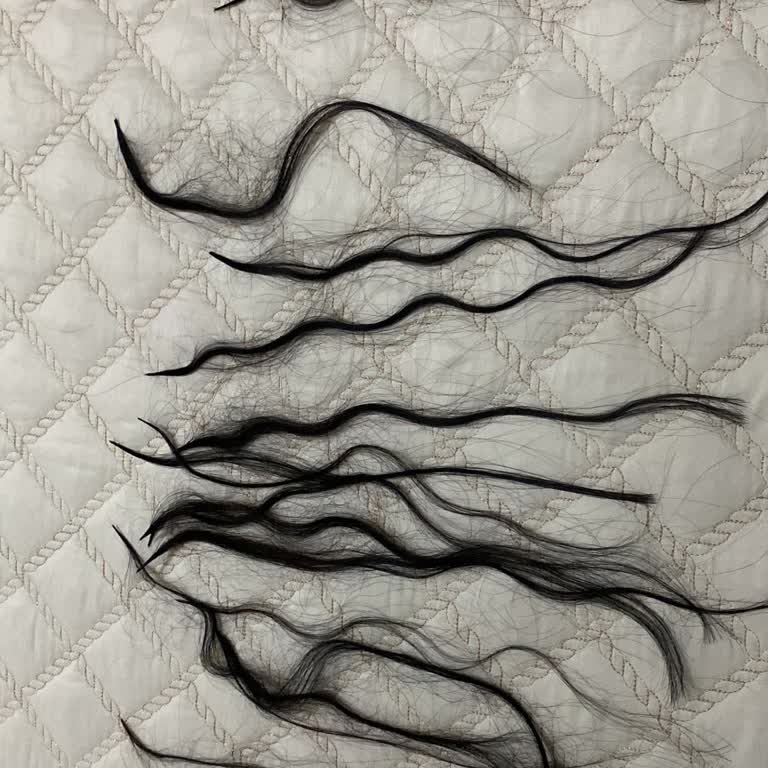 Maak Saç & Sanat Paranızla Rezil Olmak İsterseniz Maak Sac Sanata Gidin