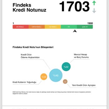 Findeks Risk Raporu Puan Düşmesi