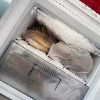 Arçelik Buzdolabında Karlanma ve Mağduriyet Sorunu