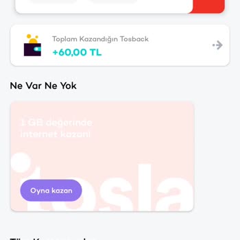 Tosla Hesaba Param Gelmiyor