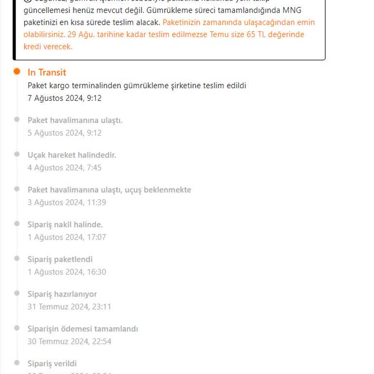 MNG Kargo Temu Siparişimin Gümrük İşlemlerini Aksatıyor