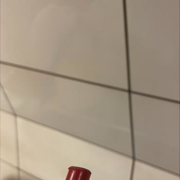 Sephora Kullanılmış! Lipstick Gönderimi