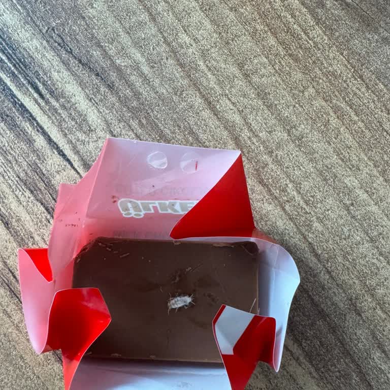 Ülker Çikolata'dan Böcek Çıktı