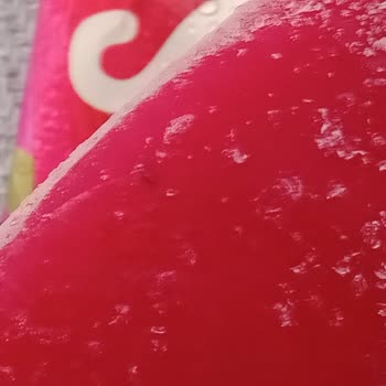 Algida Dondurmasında Sinek Şoku!