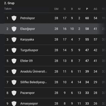 Bitexen Fan Token Yakımı