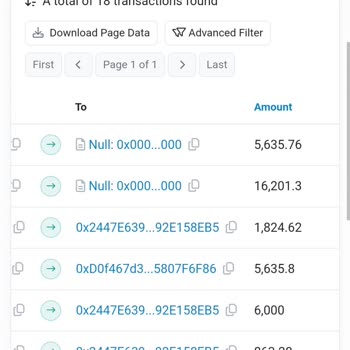 Bitexen Fan Token Yakımı