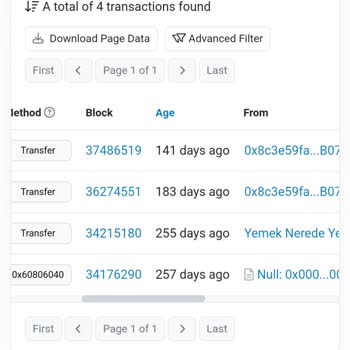 Bitexen Fan Token Yakımı