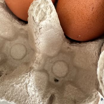 BİM'den Alınan Yumurtalar Ve Taze Peynirlerle Yaşanan Sorun