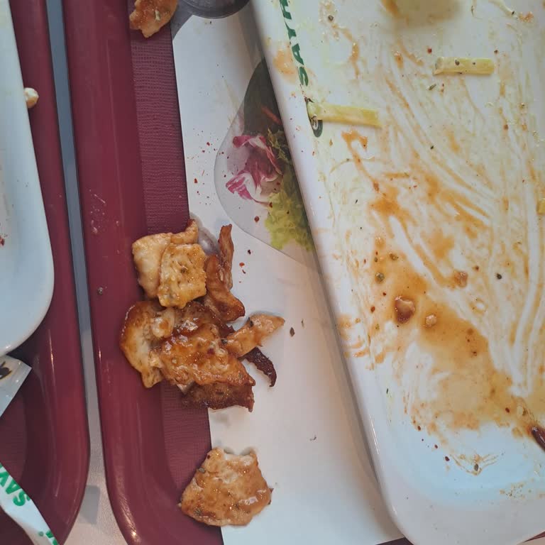 Sayrem Derili Ve Sossuz Tavuklar