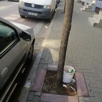 Avcılar Belediyesi Esnaf Mağdur, Hizmetten Memnun Değiliz.