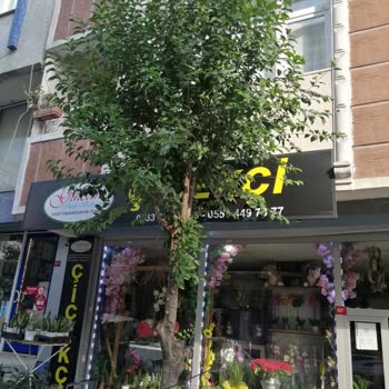 Avcılar Belediyesi Esnaf Mağdur, Hizmetten Memnun Değiliz.