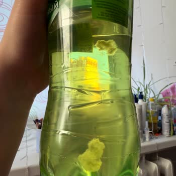 Проблема с Lipton Ice Tea: посторонние предметы в напитке