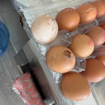 Mopaş Hipermarket Bozuk Ve Hasarlı Ürün