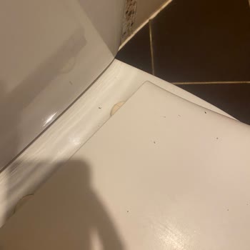 İdeal Pansiyon Fethiye De Kalmayın