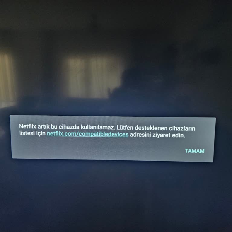 Skytech Televizyonumda Netflix Sorunu Ve İlgisiz Müşteri Hizmetleri