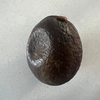 Şok Marketler Yanlış Ve Çürük Ürünler İle Kötü Hizmet Deneyimi