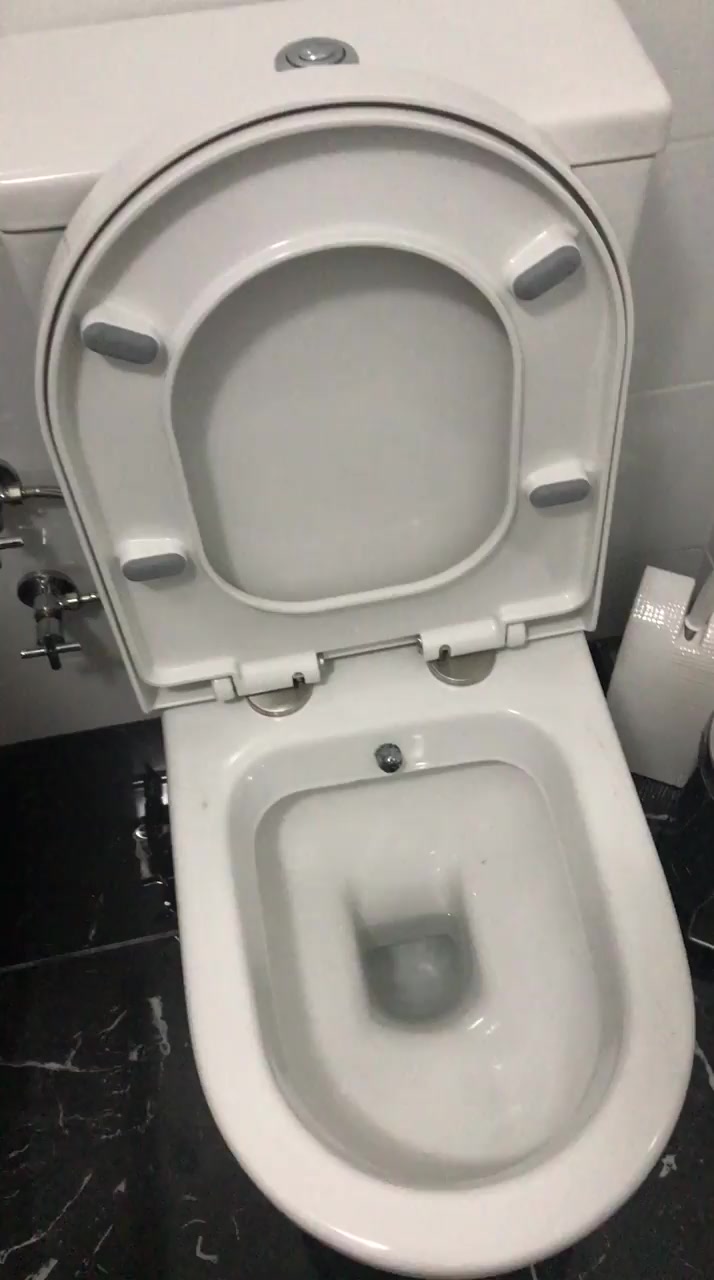 Vitra Toilet Seat Broke Within Just 60 Days Of Use video cover