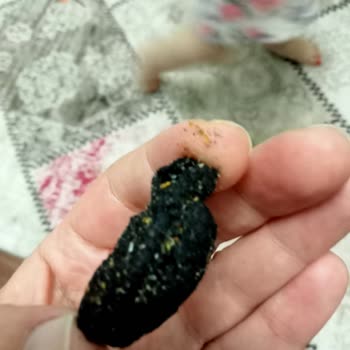 Patos Cipsi İçinden Belirsiz Bir Cisim Çıktı