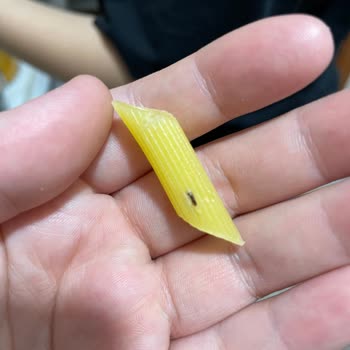 Mutlu Makarna Makarnanın Dolapta Muhafaza Edilmesine Rağmen Böceklenmesi