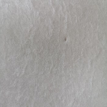 Hermes Halı (İnstagram) Halıda Çok Kısa Sürede Yırtılma