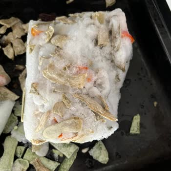 Çürümüş Fasulye Superfresh Ürünü