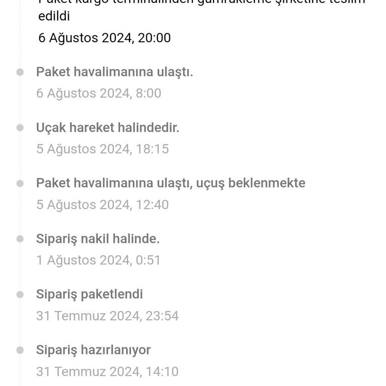 Temu Siparişlerinde Gümrükleme Ve MNG Kargo Gecikmesi